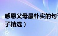 感恩父母最朴实的句子（感恩父母最朴实的句子精选）