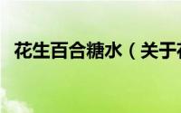 花生百合糖水（关于花生百合糖水的简介）
