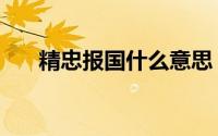 精忠报国什么意思（精忠报国的解释）