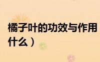 橘子叶的功效与作用（橘子叶的功效和作用是什么）