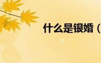 什么是银婚（银婚是什么）