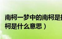南柯一梦中的南柯是指什么（南柯一梦中的南柯是什么意思）