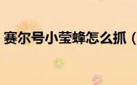 赛尔号小莹蜂怎么抓（赛尔号小莹蜂如何抓）