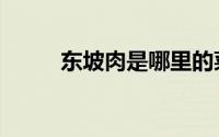 东坡肉是哪里的菜（东坡肉简介）