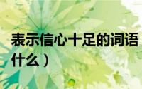 表示信心十足的词语（表示信心十足的词语是什么）