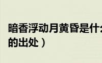 暗香浮动月黄昏是什么意思（暗香浮动月黄昏的出处）