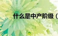 什么是中产阶级（中产阶级的解释）
