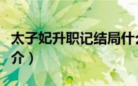 太子妃升职记结局什么意思（太子妃升职记简介）
