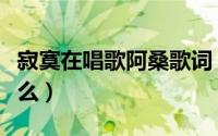 寂寞在唱歌阿桑歌词（寂寞在唱歌的歌词是什么）