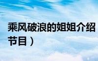 乘风破浪的姐姐介绍（乘风破浪的姐姐是什么节目）