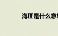 海匪是什么意思（海匪解释）