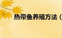 热带鱼养殖方法（怎么养殖热带鱼）