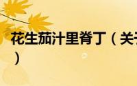 花生茄汁里脊丁（关于花生茄汁里脊丁的简介）