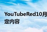 YouTubeRed10月28日登场:无广告可收看特定内容