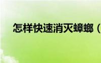 怎样快速消灭蟑螂（如何快速消灭蟑螂）