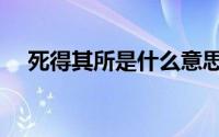 死得其所是什么意思（死得其所的含义）