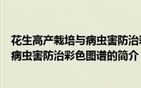 花生高产栽培与病虫害防治彩色图谱（关于花生高产栽培与病虫害防治彩色图谱的简介）