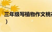 三年级写植物作文桃花（写植物作文桃花范文）