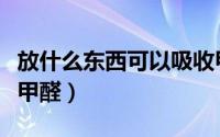 放什么东西可以吸收甲醛（哪些东西可以吸收甲醛）