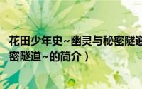 花田少年史~幽灵与秘密隧道~（关于花田少年史~幽灵与秘密隧道~的简介）