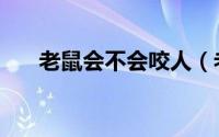 老鼠会不会咬人（老鼠相关资料介绍）
