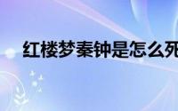 红楼梦秦钟是怎么死的（秦钟内容介绍）