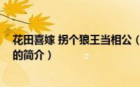 花田喜嫁 拐个狼王当相公（关于花田喜嫁 拐个狼王当相公的简介）