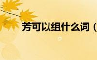 芳可以组什么词（汉字芳怎么组词）
