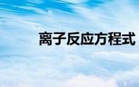 离子反应方程式（方程式是什么）