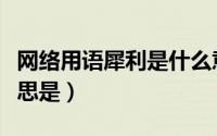 网络用语犀利是什么意思（网络用语犀利的意思是）