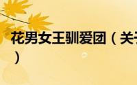 花男女王驯爱团（关于花男女王驯爱团的简介）