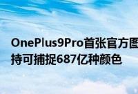 OnePlus9Pro首张官方图公布HASSELBLAD联名四镜头加持可捕捉687亿种颜色