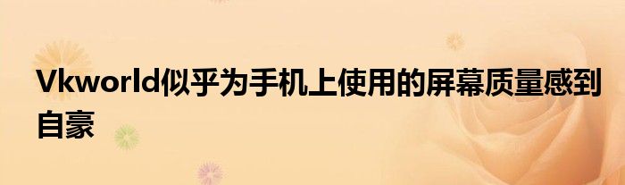 Vkworld似乎为手机上使用的屏幕质量感到自豪
