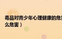 毒品对青少年心理健康的危害（毒品对青少年心理健康有什么危害）
