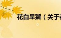 花白旱獭（关于花白旱獭的简介）
