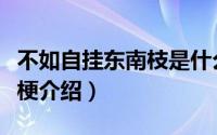 不如自挂东南枝是什么意思（其它网络上流行梗介绍）