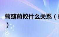 荀彧荀攸什么关系（荀彧和荀攸是哪个阵营的）