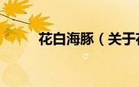 花白海豚（关于花白海豚的简介）