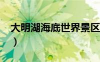 大明湖海底世界景区指南（畅游“泉城海洋”）
