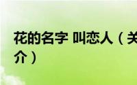 花的名字 叫恋人（关于花的名字 叫恋人的简介）