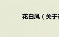 花白凤（关于花白凤的简介）