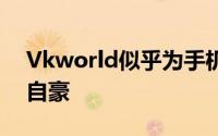 Vkworld似乎为手机上使用的屏幕质量感到自豪