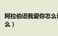 阿拉伯语我爱你怎么说（我爱你阿拉伯语是什么）