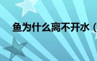 鱼为什么离不开水（为什么鱼离不开水）