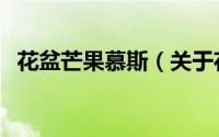 花盆芒果慕斯（关于花盆芒果慕斯的简介）