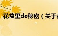 花盆里de秘密（关于花盆里de秘密的简介）
