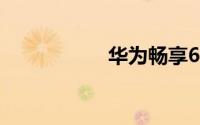华为畅享60 Pro发布