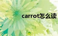 carrot怎么读（carrot解释）