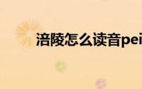 涪陵怎么读音pei（涪陵简单介绍）