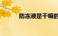 防冻液是干嘛的（防冻液作用）